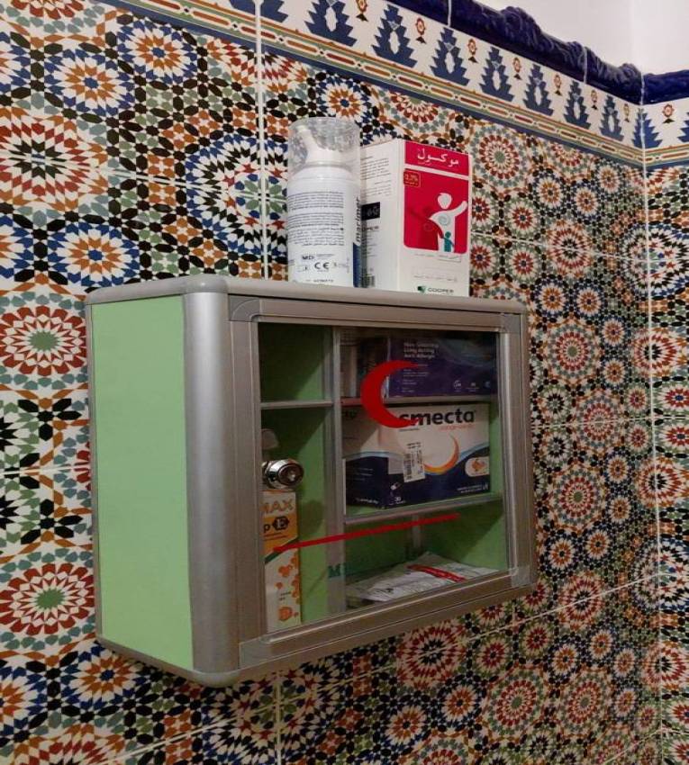 Petite Boîte à Pharmacie Métallique – Sécurité & Organisation (25×29 cm)