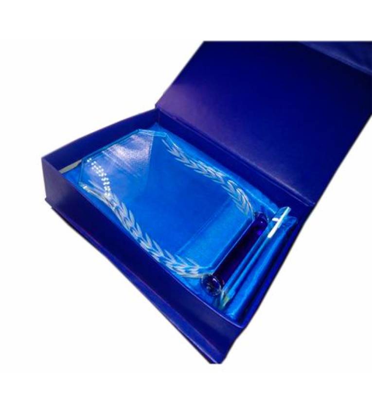Plaque trophée en verre personnaliosable , Grand Taille