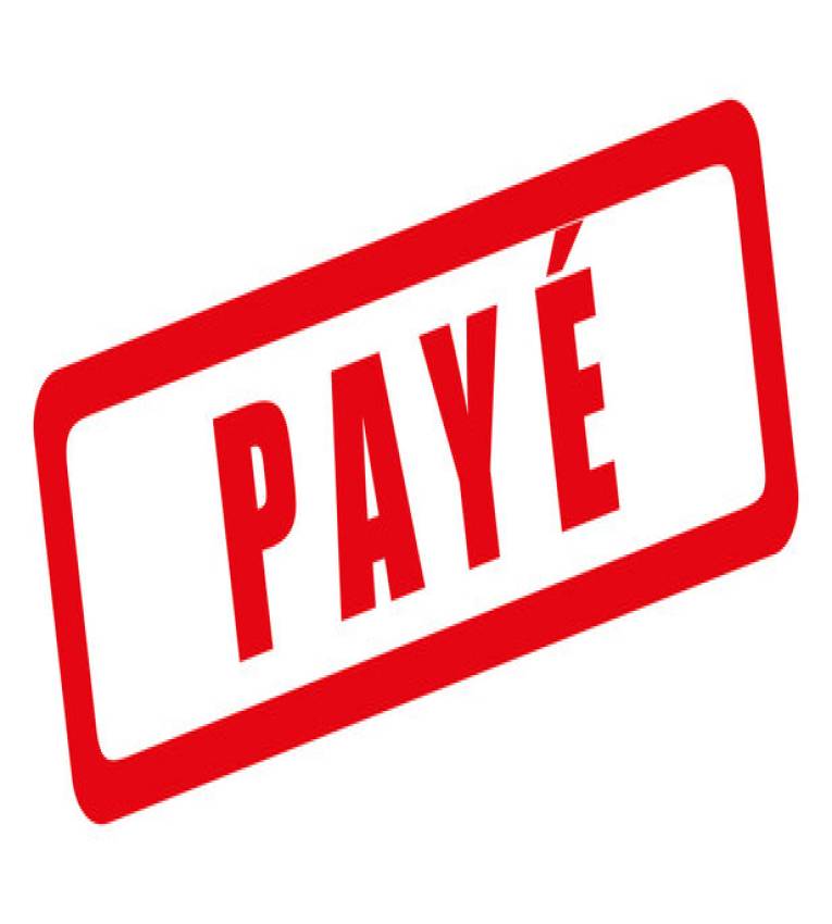 Tampon encreur Professionnel PAYE Trodat 4912 , Encre à Séchage Rapide ,Formule Commerciale
